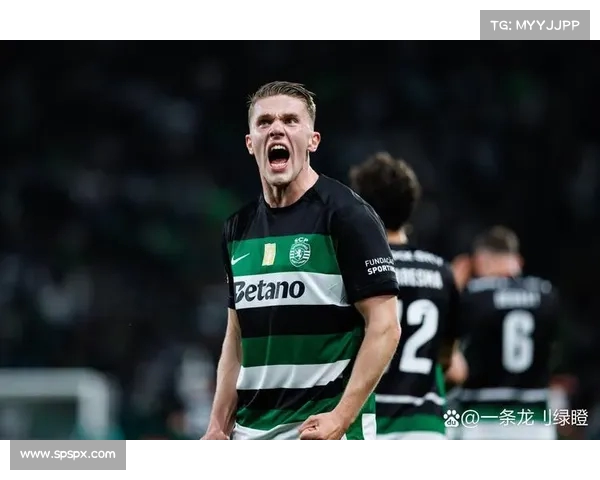 阿森纳转会策略调整 谢什科被替代哲凯赖什成为新目标 阿森纳转会策略调整 谢什科被替代哲凯赖什成为新目标