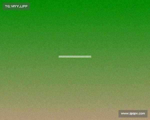 高洪波：从足球教练到中国足球复兴的关键人物与历史见证