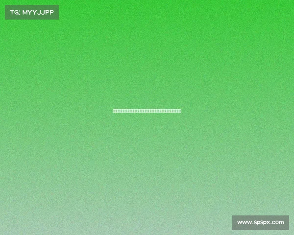 网球比赛赛事文化探析：历史沿革、传统仪式与现代化发展趋势